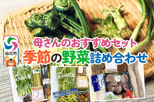 《2026年8月上旬配送》母さんのおすすめセット～季節の野菜詰め合わせ～