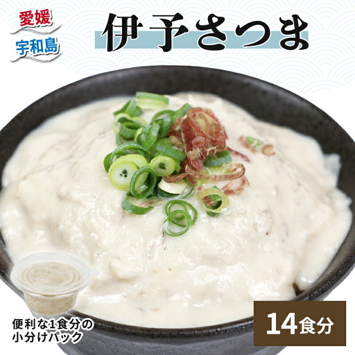 漁師飯！ 伊予さつま 60g×14個 河野鮮魚店 漁師飯 D010-177001