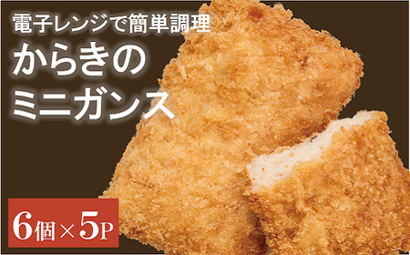 がんす ミニ 冷凍 30個 からき天ぷら店 おかず お弁当 地元で人気 練り物 愛媛|