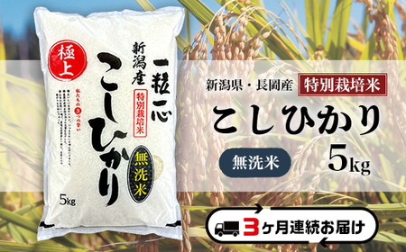 48-8M053【3ヶ月連続お届け】【無洗米】新潟県長岡産特別栽培米コシヒカリ5kg