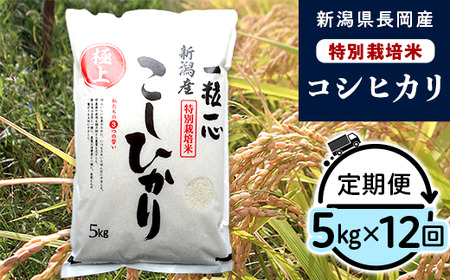 48-8N05Z【12ヶ月連続お届け】新潟県長岡産特別栽培米コシヒカリ5kg
