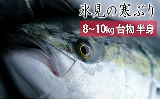 【先行予約】【期間限定】＜半身＞氷見の寒ぶり　8～10kg台物 真空パック【ひみ水産】※配送エリア限定※　