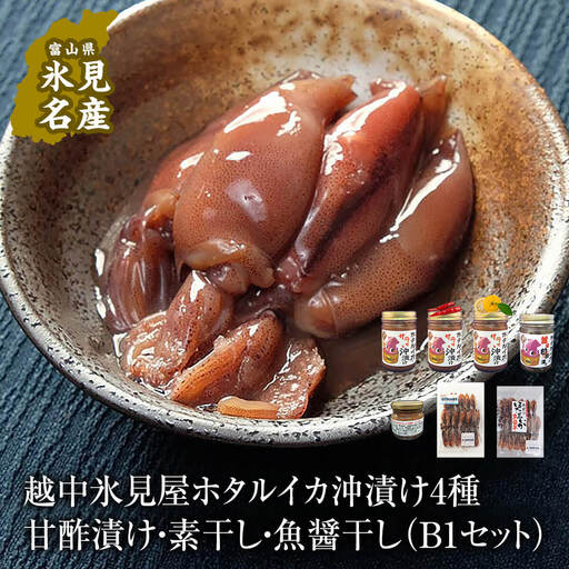 越中氷見屋 ホタルイカ沖漬け4種・甘酢漬け・素干し・魚醤干し(B1セット) 