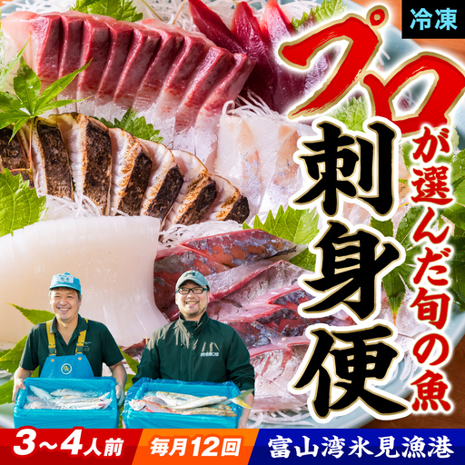 【全12回 定期便】氷見漁港 海鮮刺身セット 毎月お届け | 詰め合わせ 冷凍 刺身