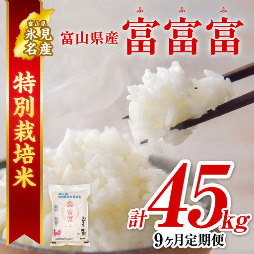 【特別栽培米】 〈9ヶ月定期便〉令和8年産 富山県産 “富富富” 5kg　