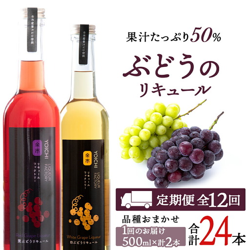 【定期便12ヵ月】ぶどうリキュール2本【品種おまかせ】〈余市リキュールファクトリー〉_Y020-0620
