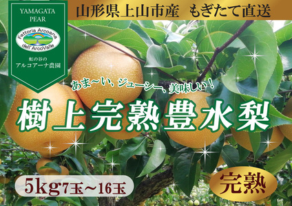 【樹上完熟】和梨「豊水」　５ｋｇ　７～１６玉（直送便）　0148-2610