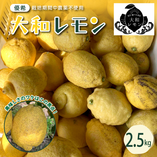 【先行受付】【2026年11月～発送】栽培期間中農薬不使用　大和レモン 2.5kg ku044-012-26