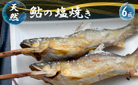 天然鮎 の 塩焼き 6匹 ( あかねや ) ＜ 冷凍 ＞ 