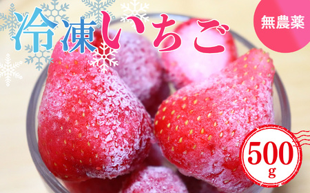 お手軽 小分け 冷凍いちご 約 500g ( 100g x 5パック ) | 果物 イチゴ いちご