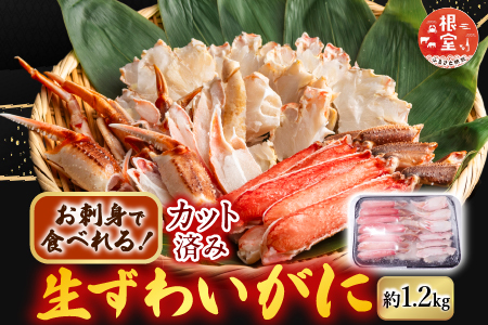 生食可！カット済み生ずわいがに約1.2kg(お刺身・焼きガニ・カニ鍋等) B-14101
