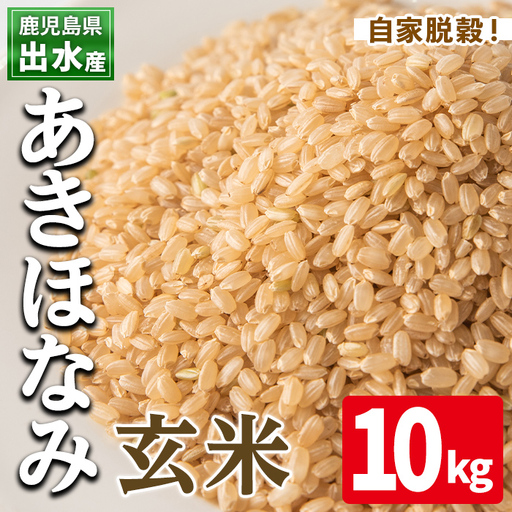 玄米 あきほなみ 10kg 米【田上商店】i863-B