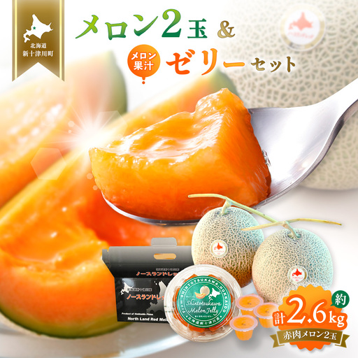 [数量限定] 赤肉メロン2玉・ミニメロンゼリーセット[令和8年7月〜8月上旬発送]