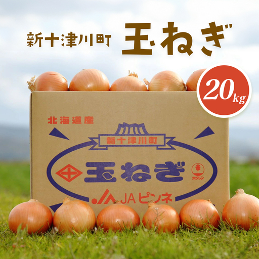 【先行受付】玉ねぎ Lサイズ（20kg）【令和8年10月～12月中旬発送】【1200202】