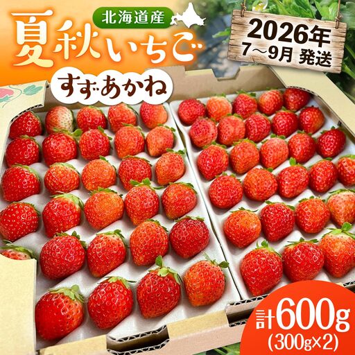 夏いちご すずあかね  計600g [AXBT003]