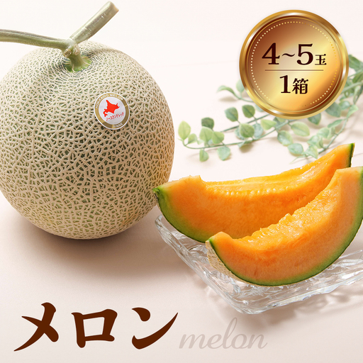 【先行予約】 赤肉メロン1箱（4～5玉） 【令和8年7月～8月上旬発送】【1201802】