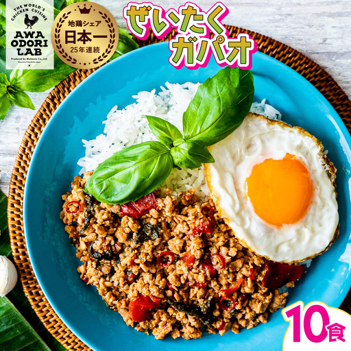 阿波尾鶏 ぜいたくガパオ 10食入 130g×10パック ガパオライス 国産 鶏肉 地鶏 エスニック タイ料理 常温 レトルト AWAODORI LAB