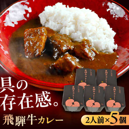 -あふひ 贅の極み- 飛騨牛カレー 2人前×5個セット / 恵那市 / テンポイント [AUEU004]