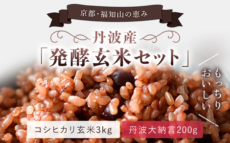 玄米 丹波産 発酵玄米セット (コシヒカリ玄米3kg・丹波大納言200g) 発酵玄米 コシヒカリ玄米 定期便 3か月[fc-CM022]