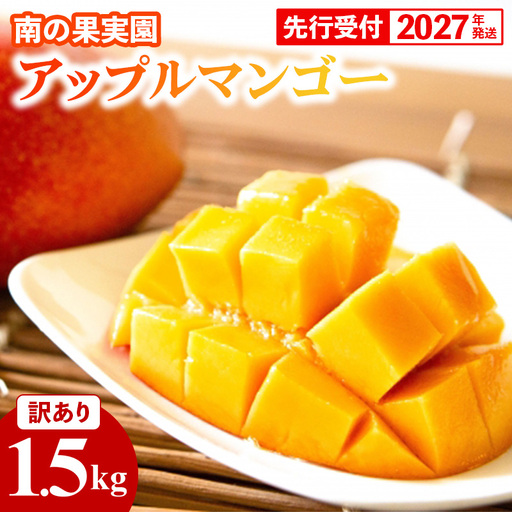 [先行受付][2027年発送]南の果実園 アップルマンゴー 訳あり品 1.5kg(3〜7玉)- 先行予約 沖縄県産 産地直送 南国フルーツ 旬の味覚 季節の果物 ご自宅用 家庭用 沖縄県 八重瀬町
