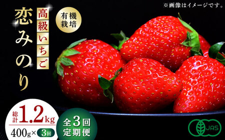 [先行予約] 高級いちご先行予約3回定期 恋みのり約400g(200g×2)苺いちごイチゴ有機栽培