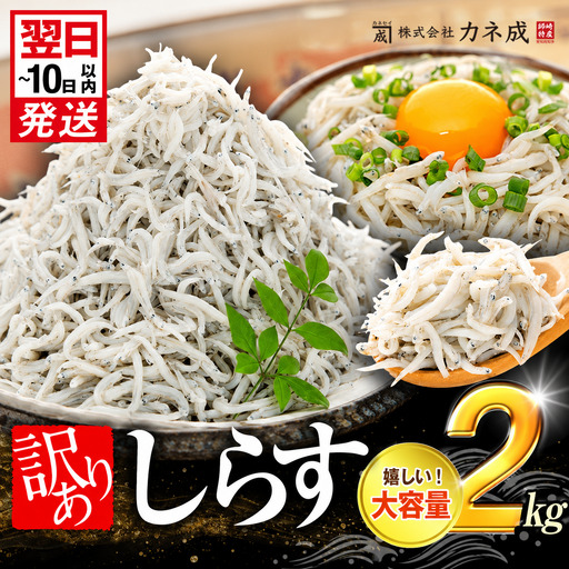 訳あり しらす 2kg 【1箱×2】 訳あり しらす 人気