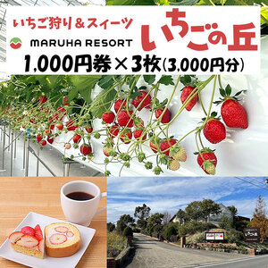 まるは食堂 マルハリゾート いちごの丘1,000円券3枚(3,000円分) ※着日指定不可