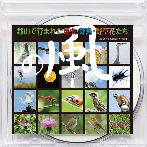 デジタル写真素材 「の風」 本 DVD 