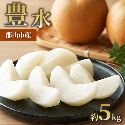 梨 豊水 果物 福島県産 梨[約5kg]