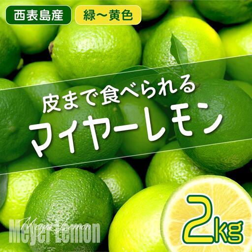 マイヤーレモン (島レモン)約2kg