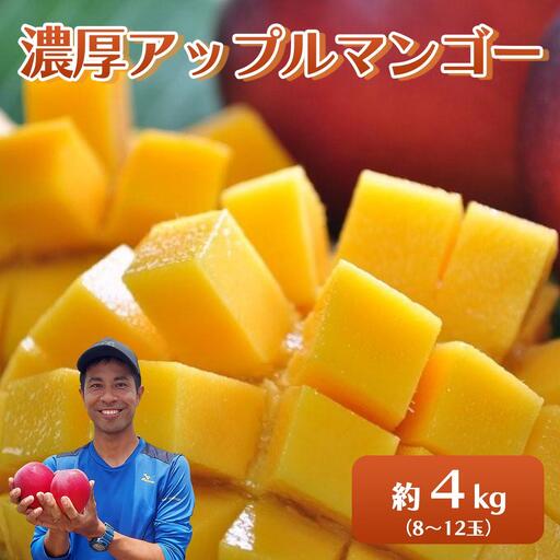 アップルマンゴー 約4kg