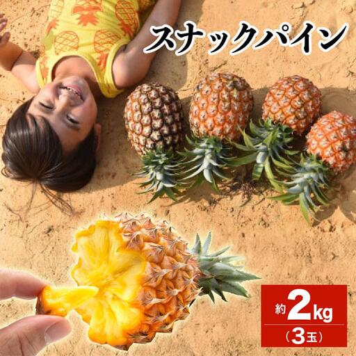 [2027年 先行予約]スナックパイン 約2kg