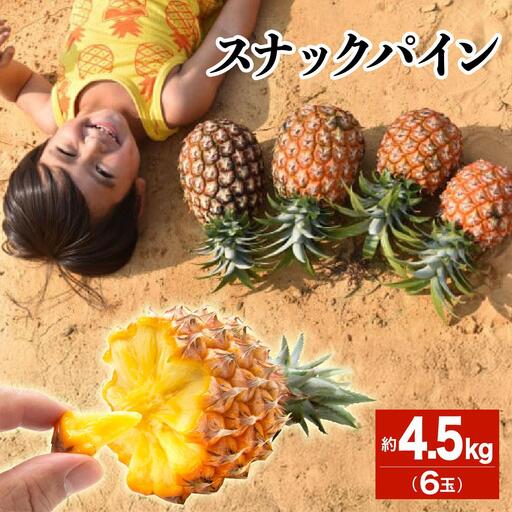 【2027年 先行予約】スナックパイン 約4.5kg