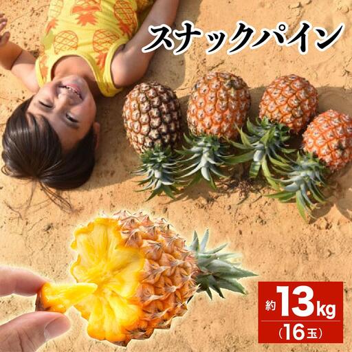【2027年 先行予約】スナックパイン 約13kg