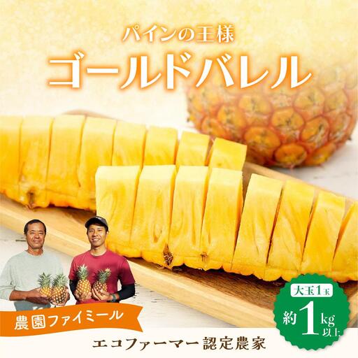最高級 パイン 完熟 ゴールドバレル 1.0kg