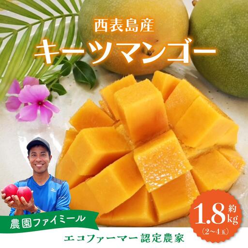 マンゴー 約1.8kg 2〜4玉 希少品種
