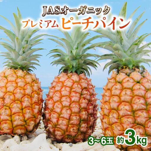  【2027年先行予約】プレミアムピーチパイン 約3kg