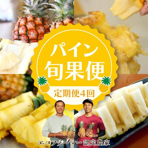 定期便 4回 パイナップル 旬果便