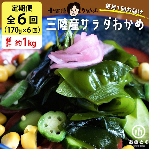 【2つの食感】6回 定期便  三陸産 サラダわかめ 170g ×6回 総計 約1kg