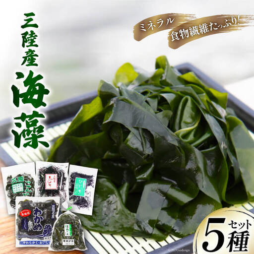 三陸産 海藻 5種セット ( わかめ 茎わかめ ひじき ふのり 昆布 ) 