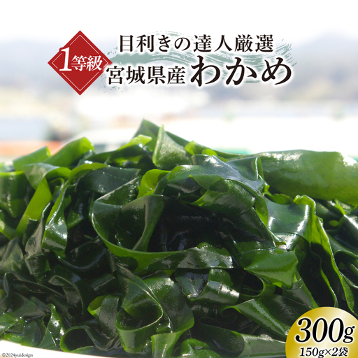 1等級 塩蔵 肉厚 わかめ 150g×2 
