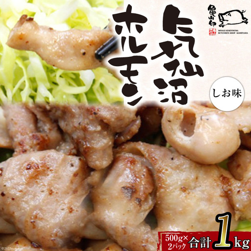 亀山印 気仙沼ホルモン しお味 500g ×2 
