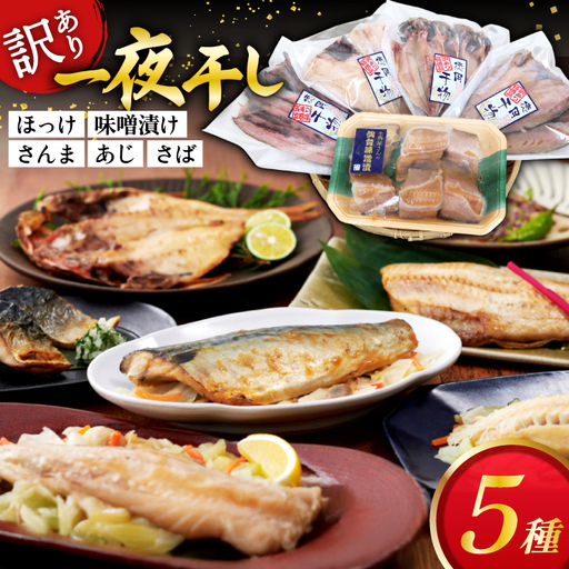訳あり 干物 5種 5p 