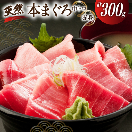 昭福丸の天然本まぐろ (中トロ･赤身) 各150g 計300g 