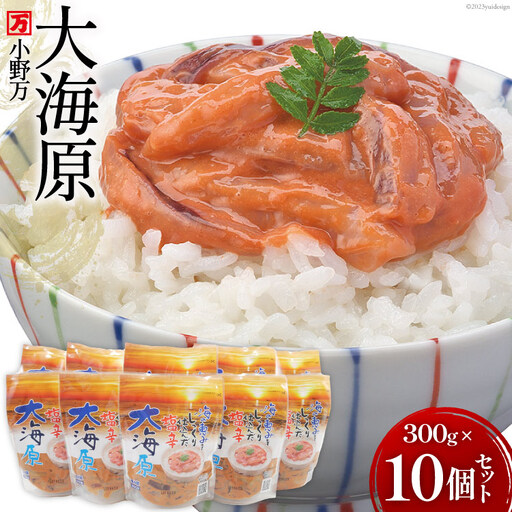 海の恵みをじっくり仕込んだ塩辛 大海原 300g 10個セット 