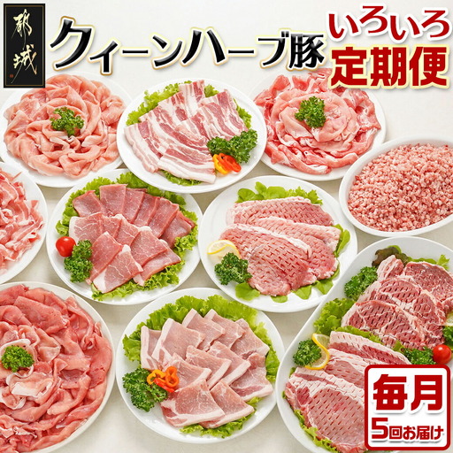 「クイーンハーブ豚」のいろいろ定期便(5ヶ月)〔TAA5-2901〕_(都城市) ブランドポーク しゃぶしゃぶスライス ミンチ バラ焼肉 肩ロース焼肉 とんかつ 生姜焼き 肉巻き ミルフィーユカツ 定期便
