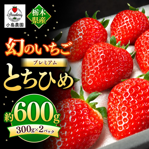【2027年先行予約】幻のプレミアムいちご とちひめ 600g