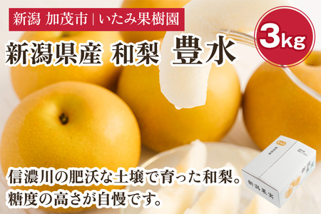 【2026年先行予約】新潟県産 厳選 豊水梨 3kg（7〜11玉）《9月上旬以降発送》 和梨 なし ナシ 果物 ほうすい フルーツ 加茂市 いたみ果樹園