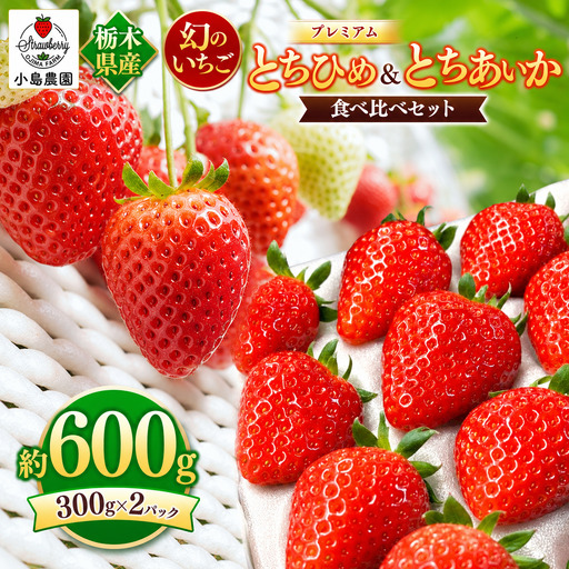 【2027年先行予約】とちひめ とちあいか 食べ比べ 600g