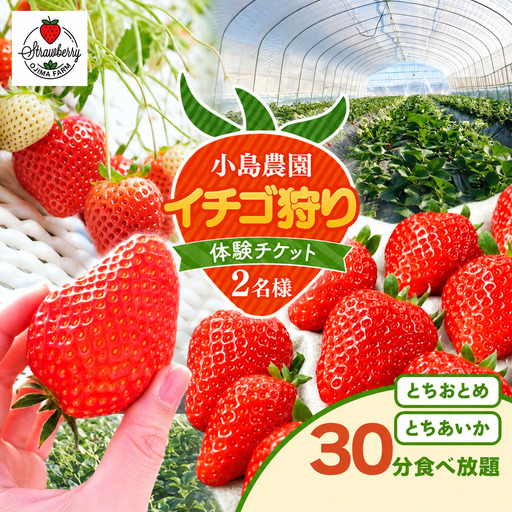 【2027年先行予約】小島農園いちご 狩り チケット 2名 とちおとめ とちあいか 食べ放題